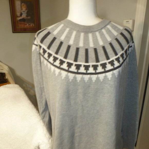 Eddie Bauer - NWOT Tunic Raglan  Sweater w/Crewneck decor  size L - Picture 4 of 11